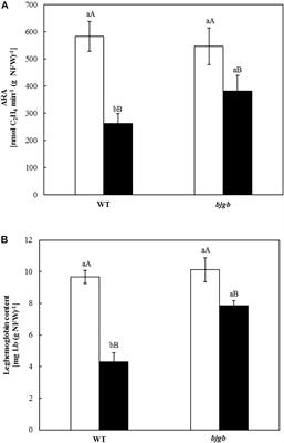 The Hemoglobin Bjgb From Bradyrhizobium diazoefficiens Controls NO Homeostasis in Soybean Nodules to Protect Symbiotic Nitrogen Fixation